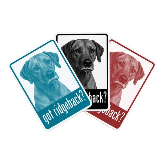 Sticker Multi Pack